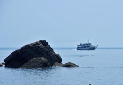 Прикрепленное изображение: IMGP6647.jpg